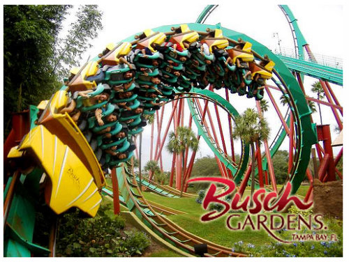 Parque Busch Gardens en Tampa